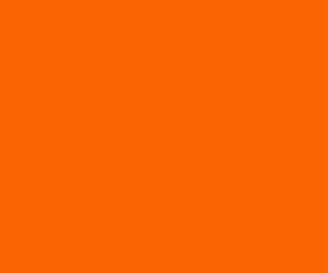 ZOOM LARANJA 300X2050