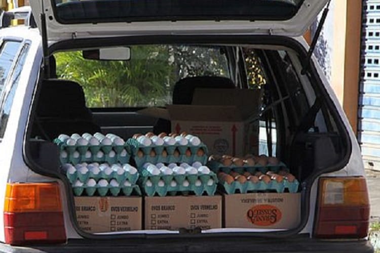 Crescimento do Mercado de Ovos no Brasil e Novas Exigências de Rastreabilidade