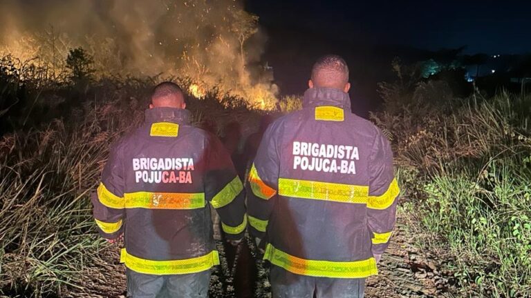 Alerta em Pojuca: queimadas irregulares aumentam risco de tragédias e mobilizam Guarda Municipal